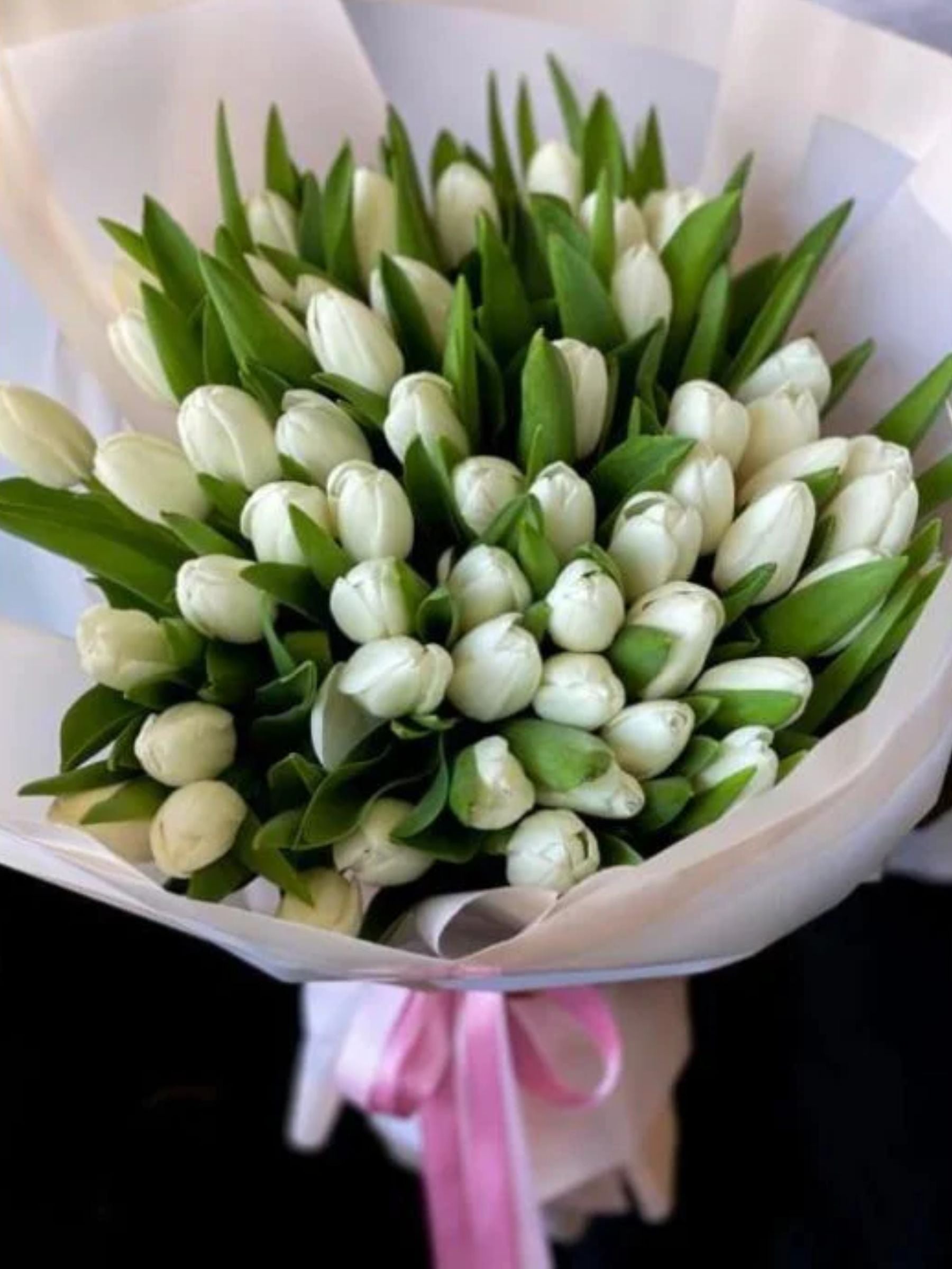 50 Luxury White Tulips