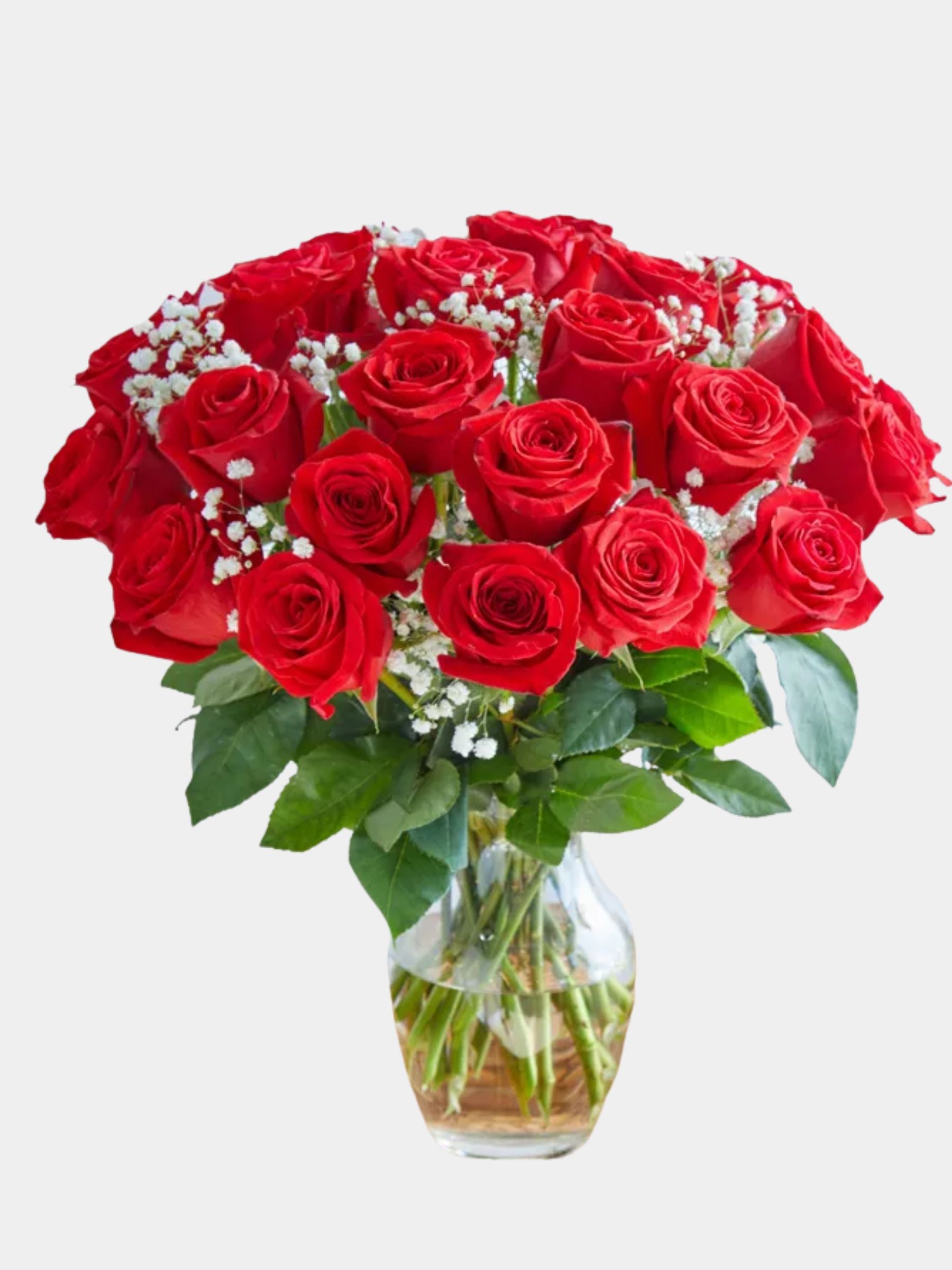 50 Red Roses In A Vase