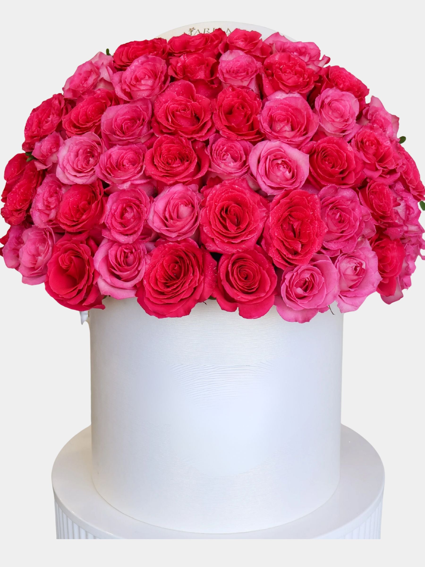100 Dark and Light Pink Rose Flower Box