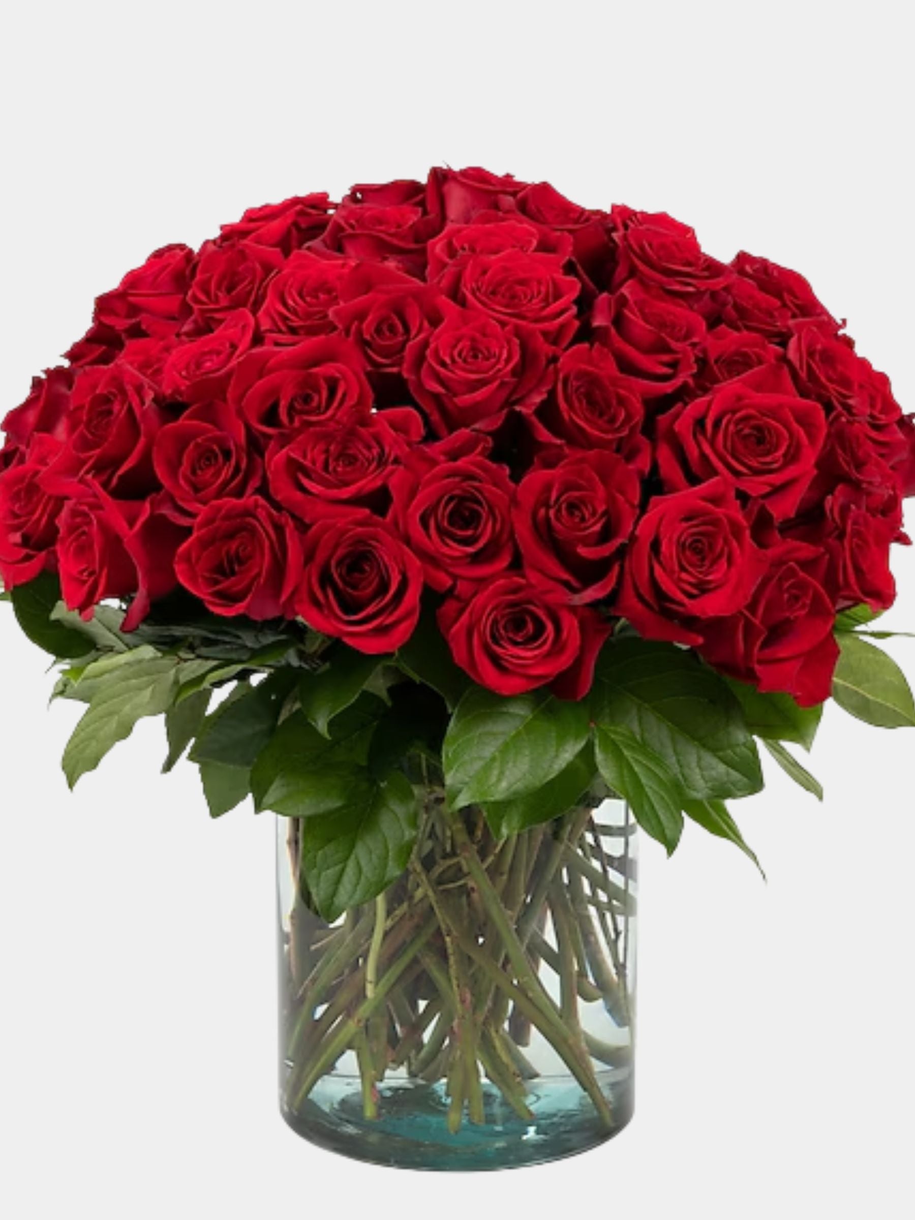 50 Stunning Red Roses