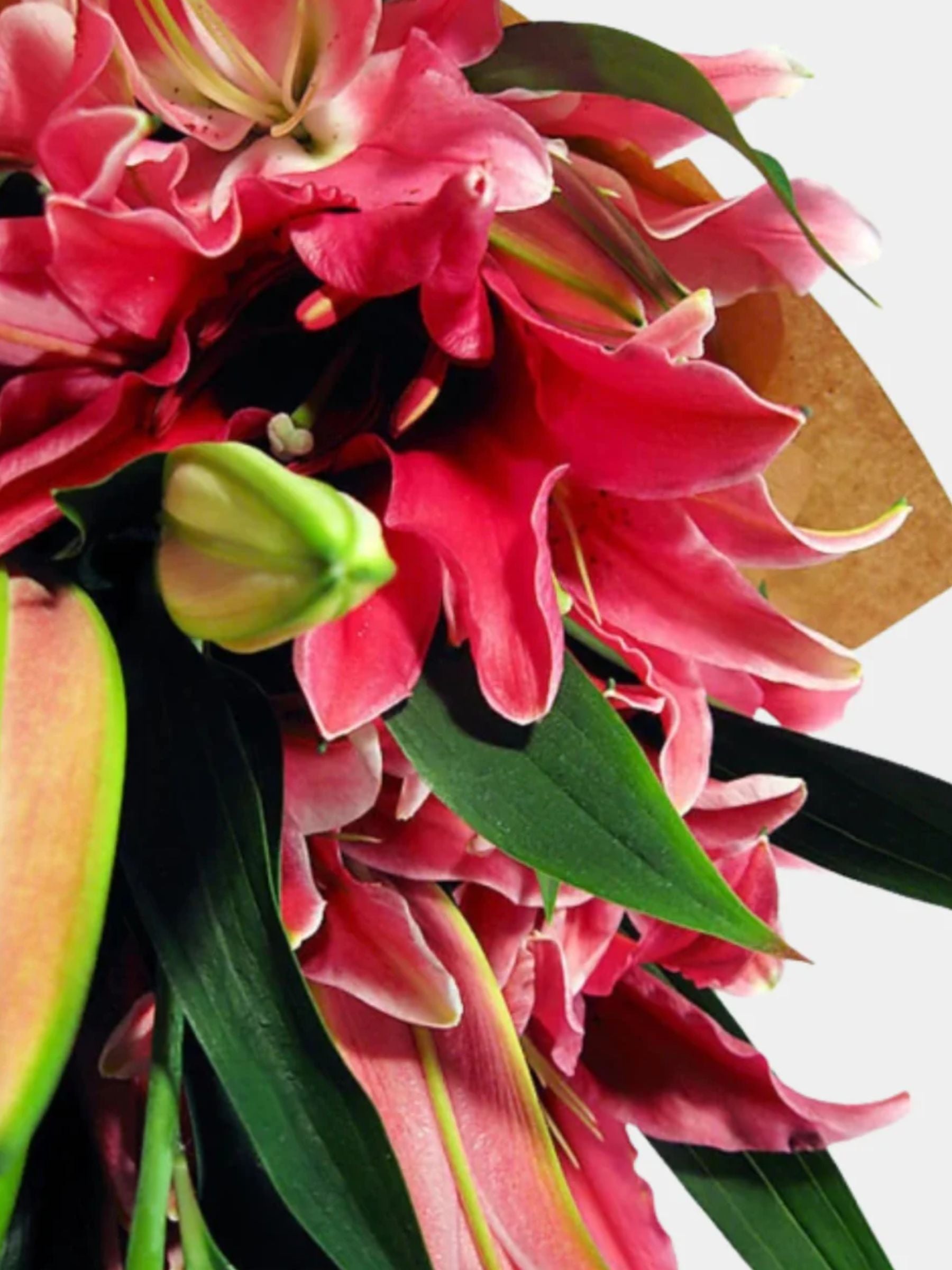 Bouquet of 10 Pink Oriental Lily