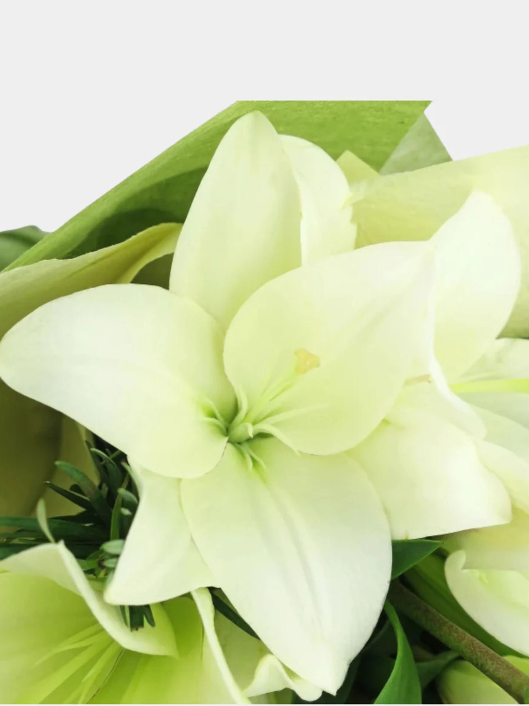Bouquet of 15 White Lily