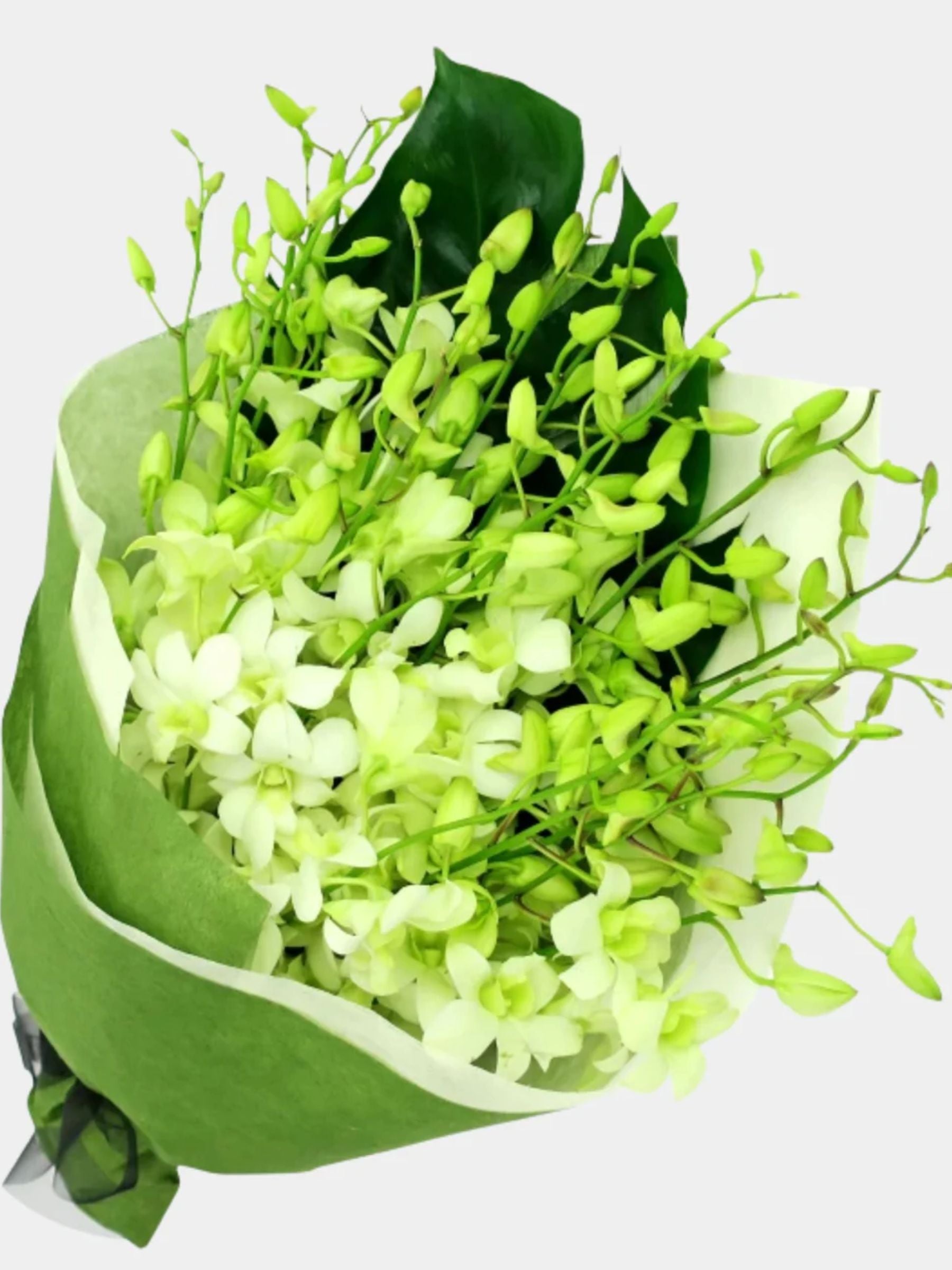 Bouquet of 20 White Orchid