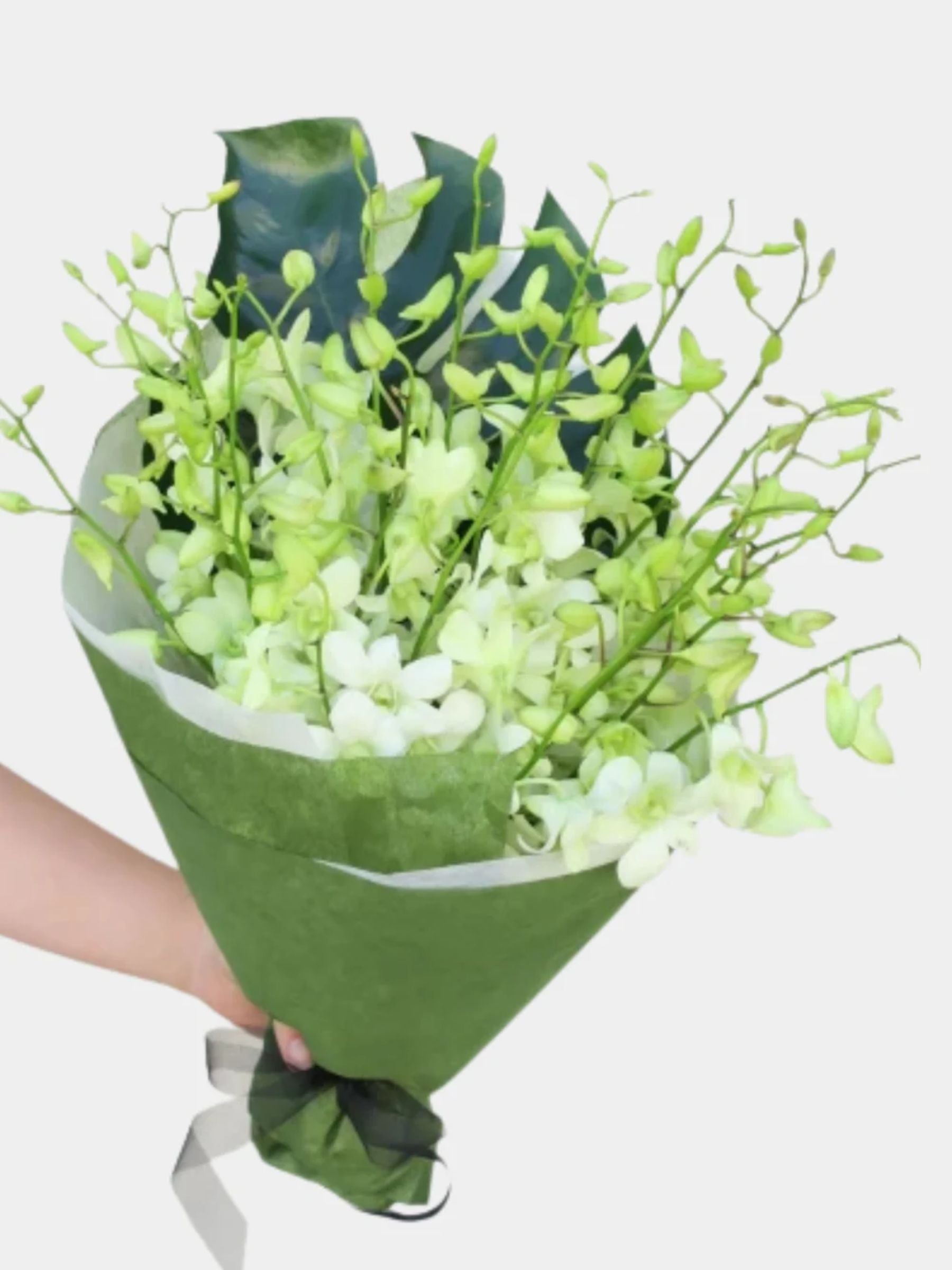 Bouquet of 20 White Orchid