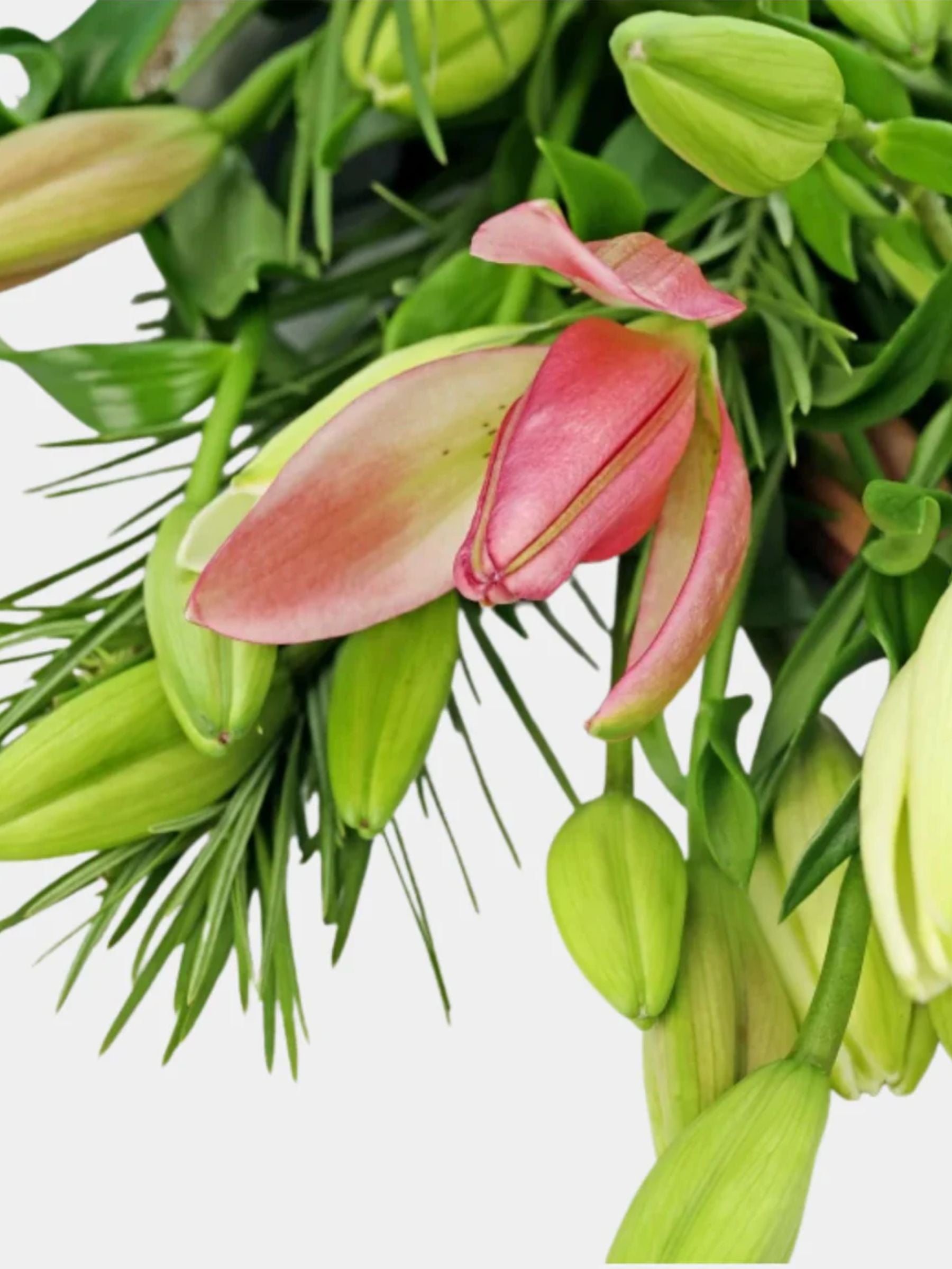 Bouquet of Mixed 10 Pastel Lily