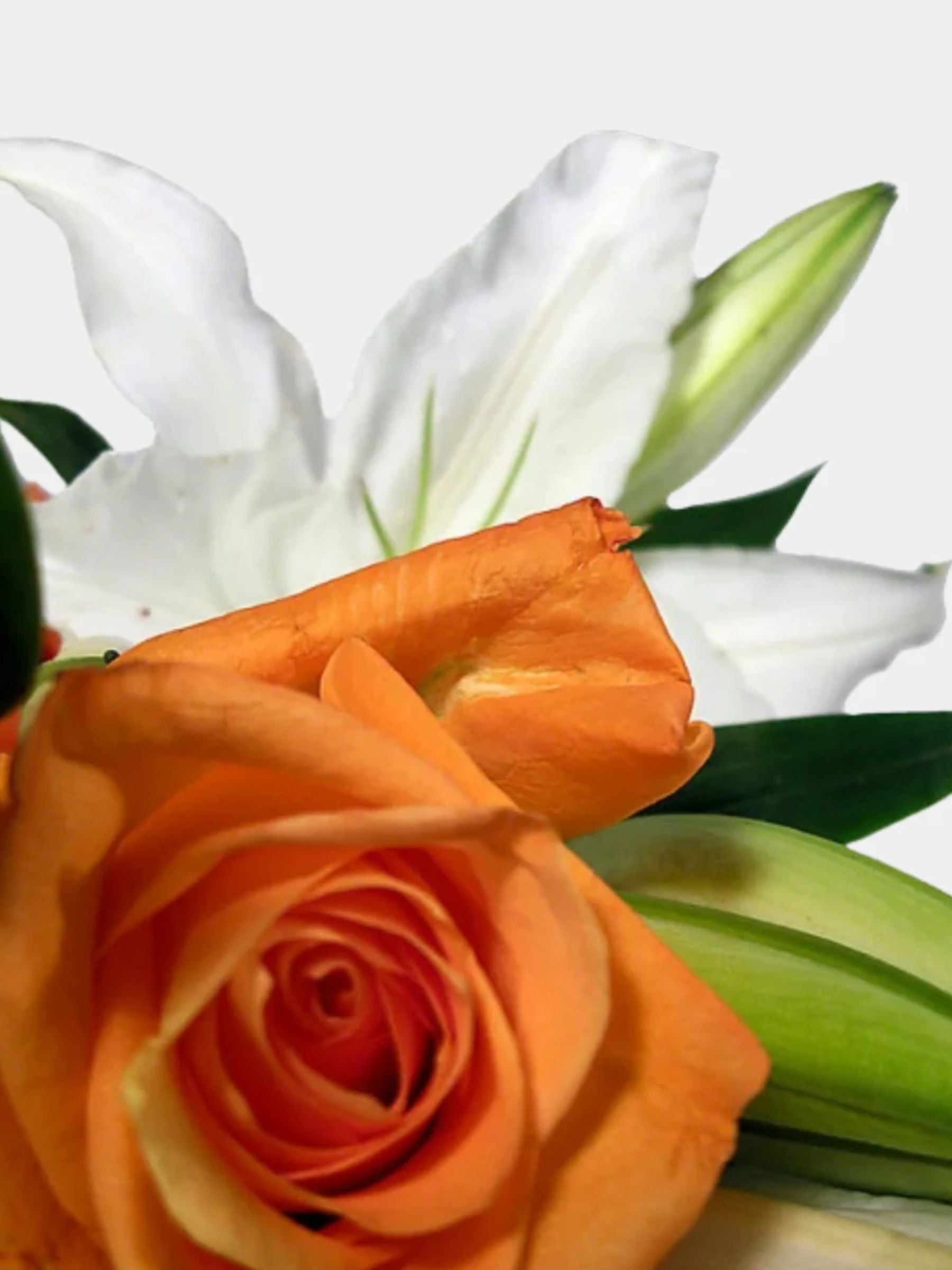 Bouquet of Roses and 10 Oriental Lilies