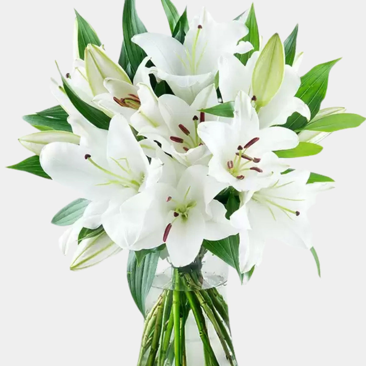 Casablanca Lily Bouquet
