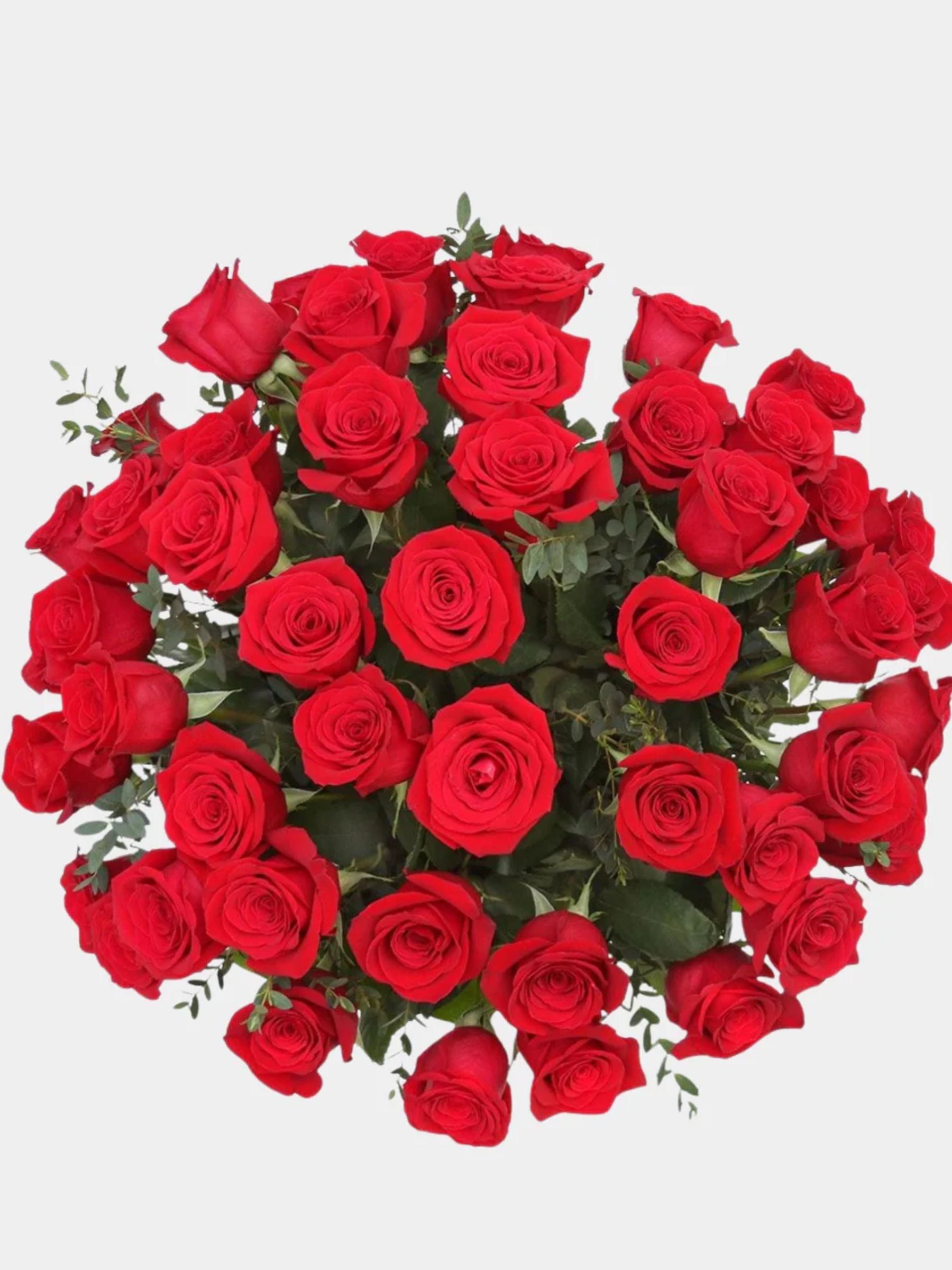 Classic 50 Red Roses in a Vase