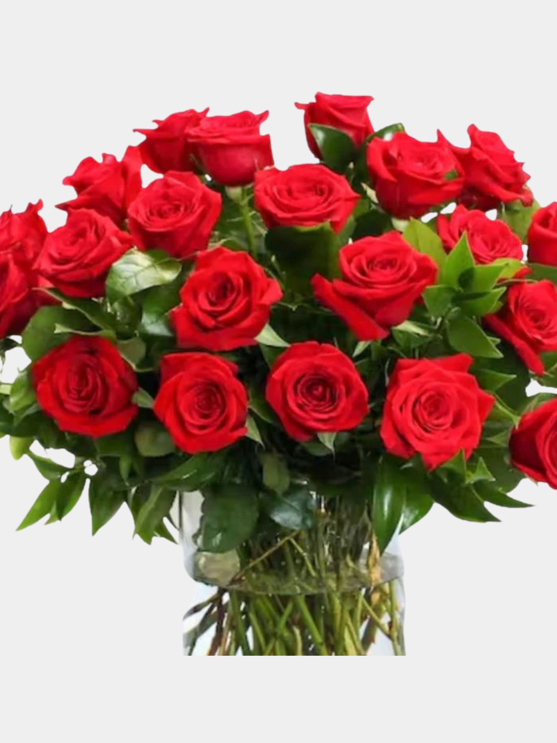 Classic Two Dozen Premium Roses