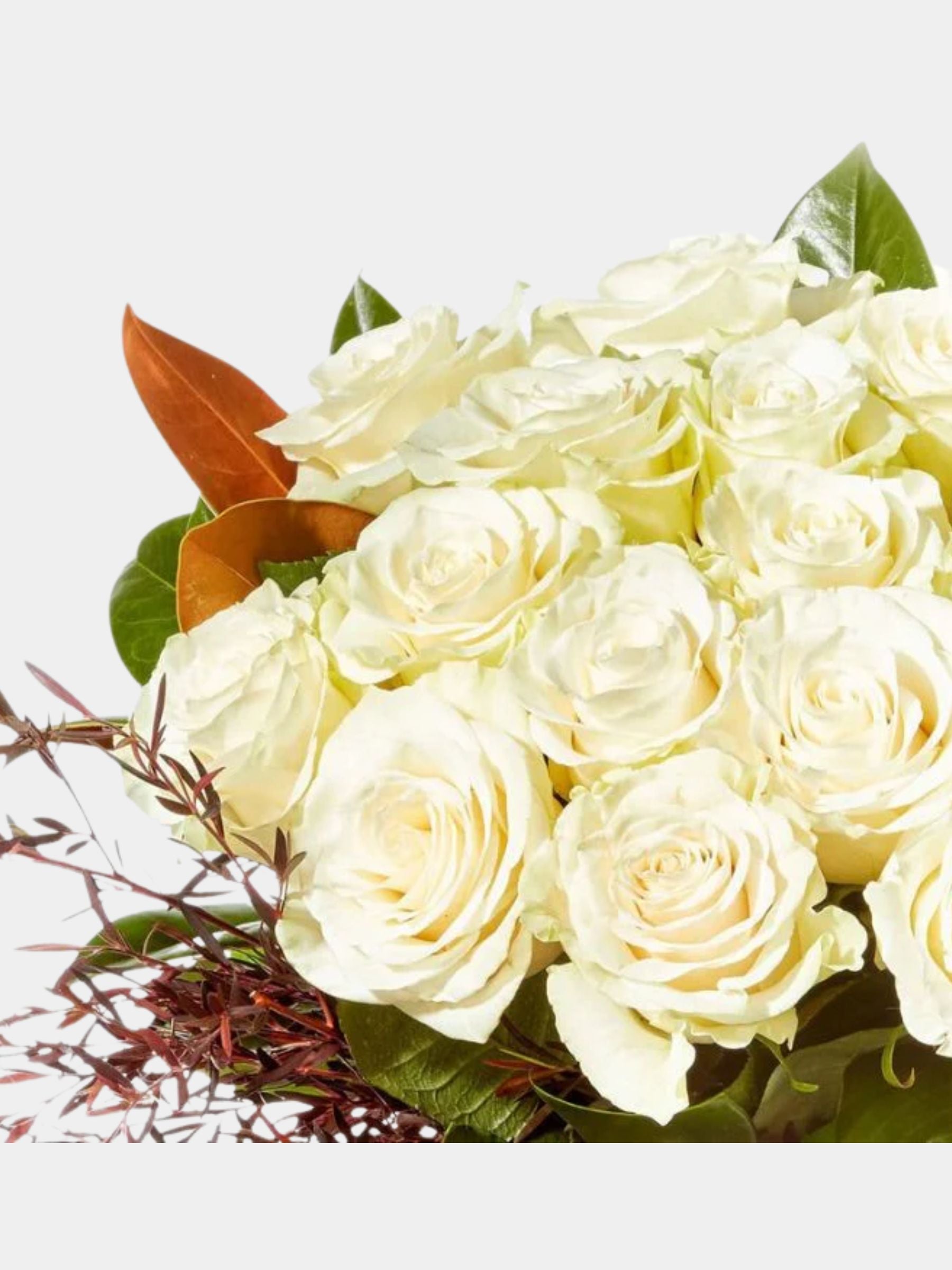 Classic White Roses in Glass Vase