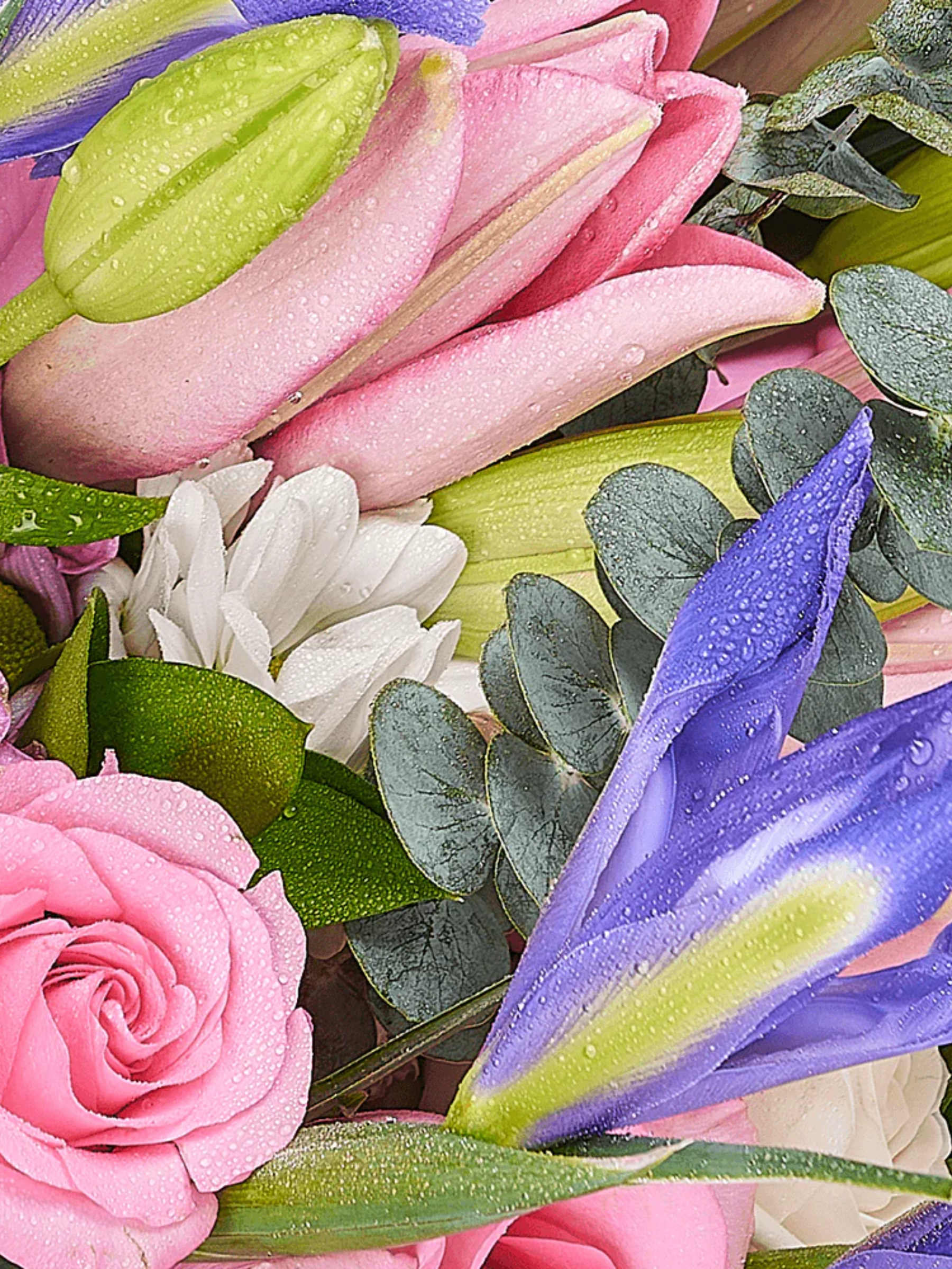 Lavender Whispers Iris Bouquet