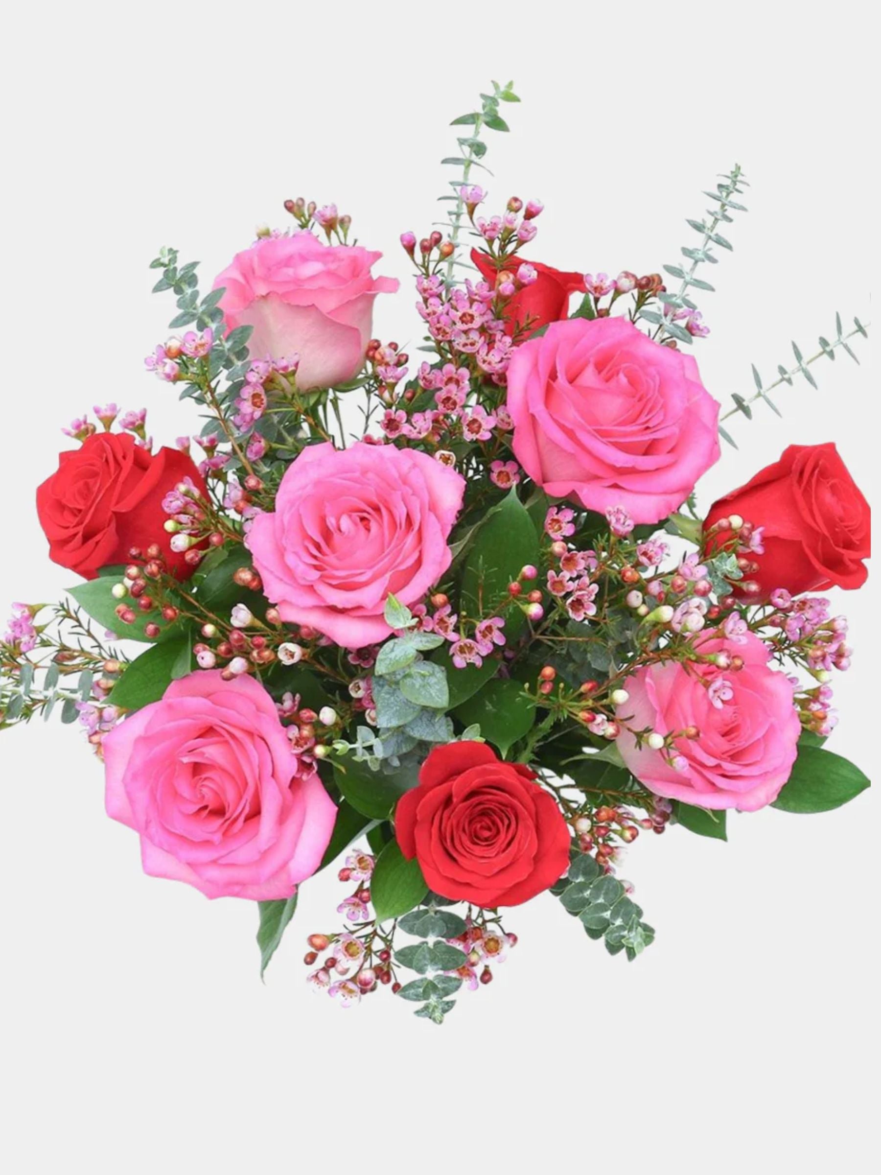 Petal Blush