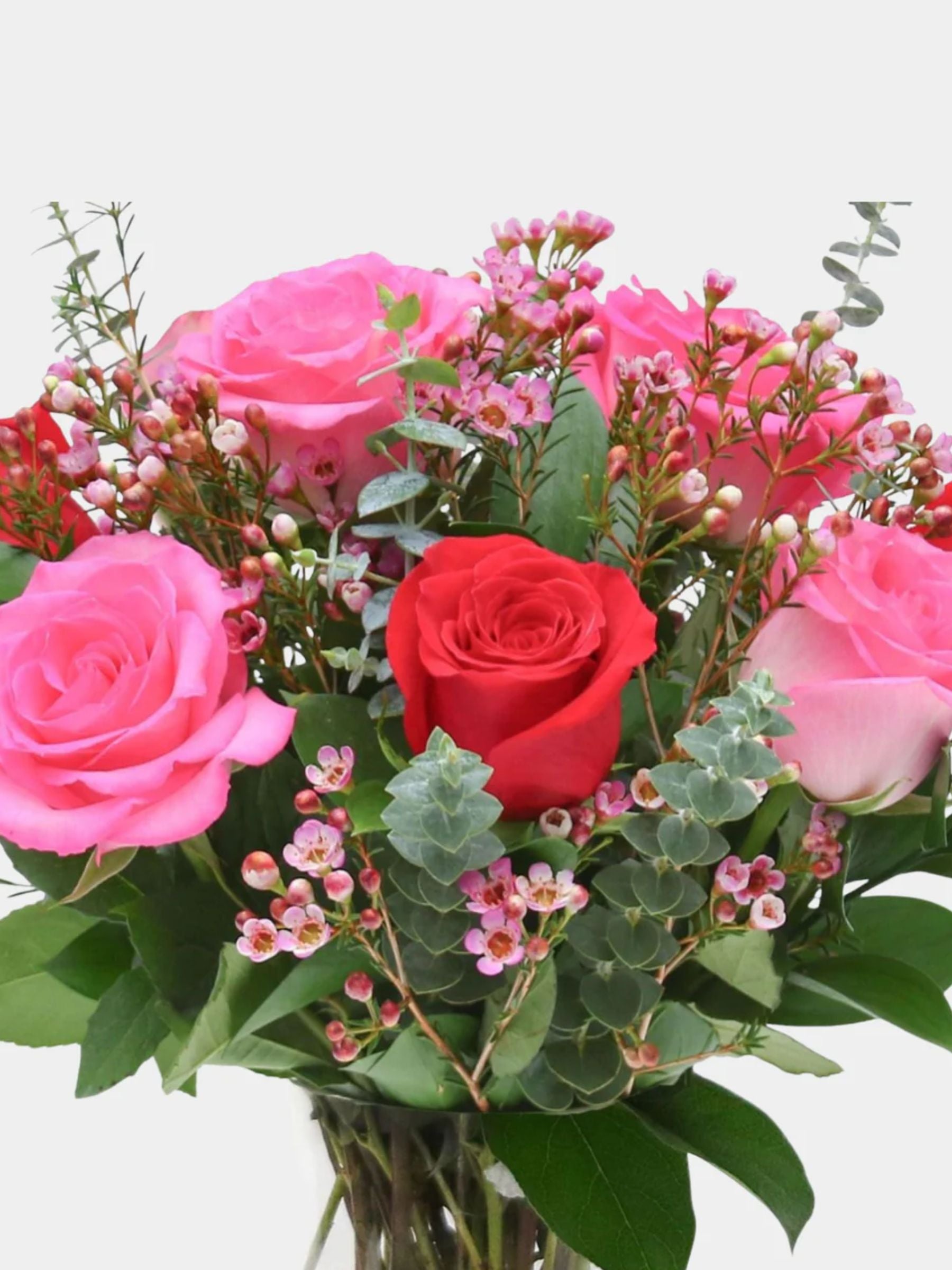 Petal Blush