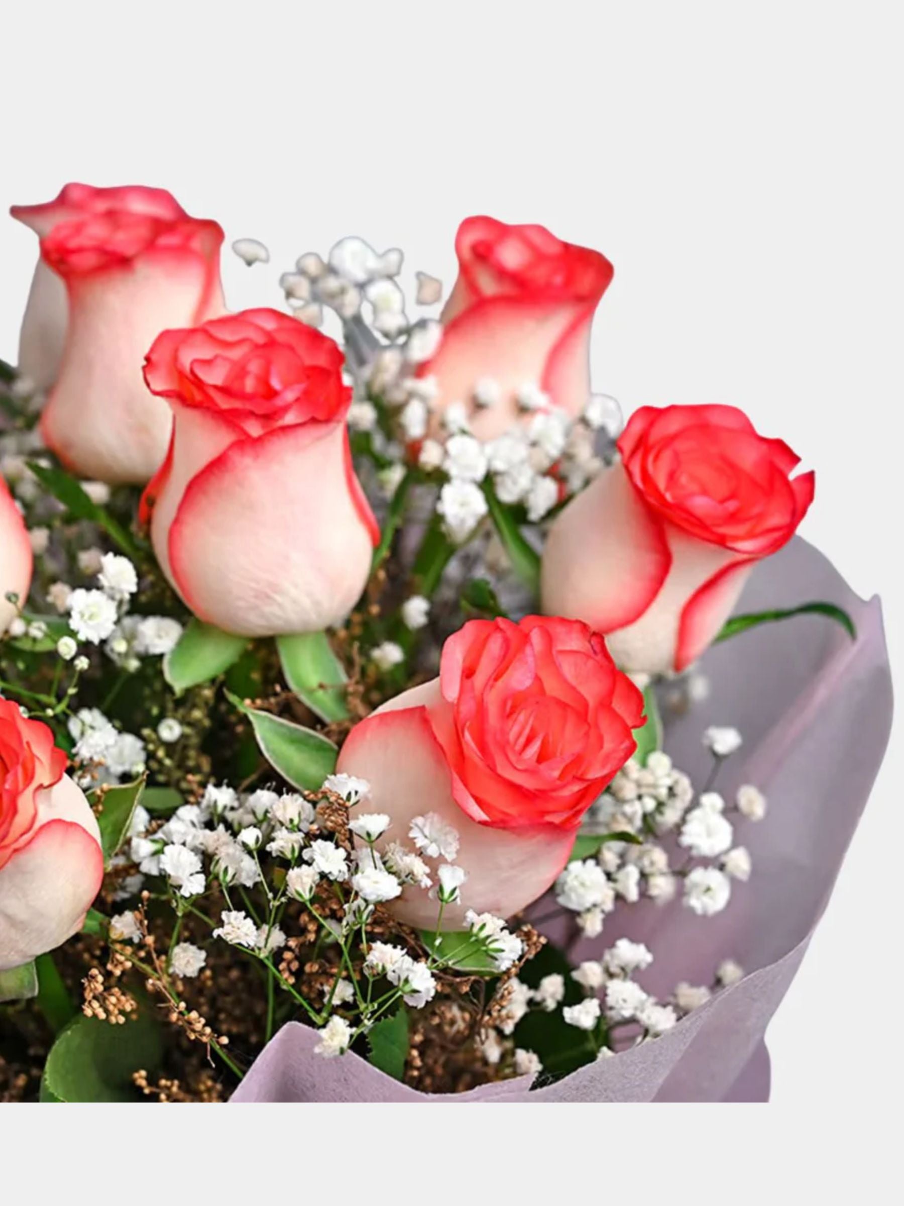 Pink Roses and Truffle Cake