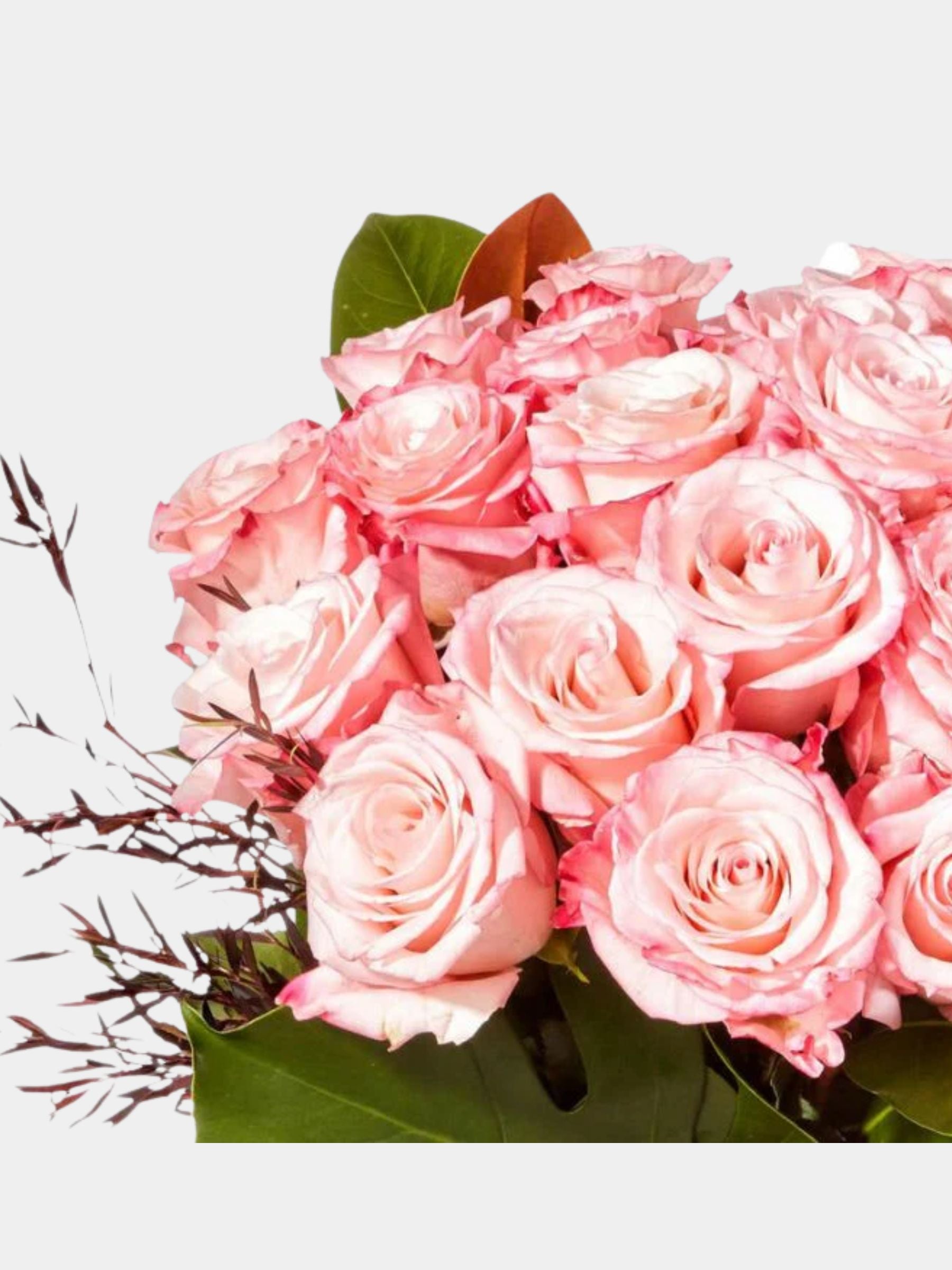 Pink Whisper Rose Bouquet