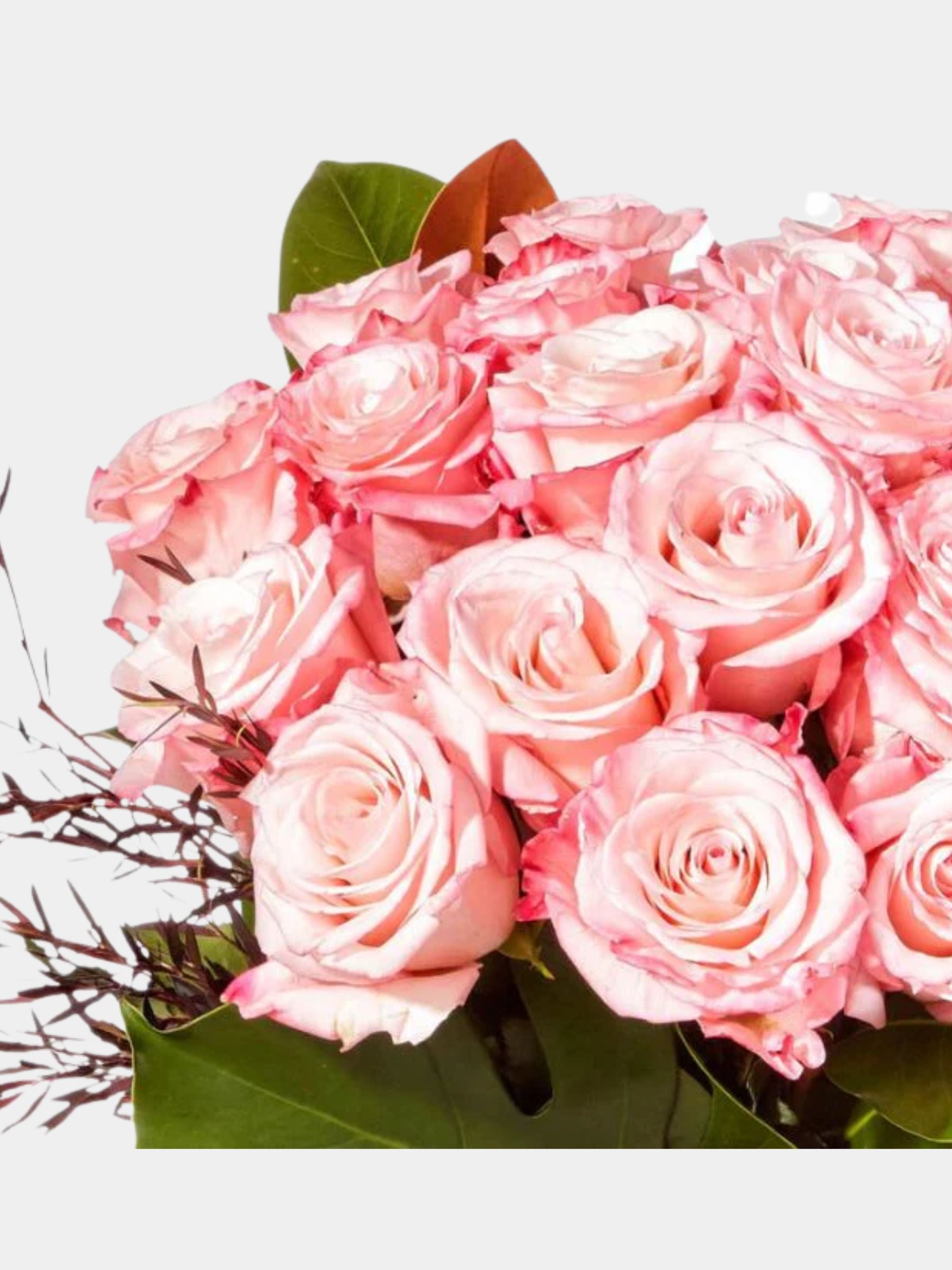 Pink Whisper Rose Vase