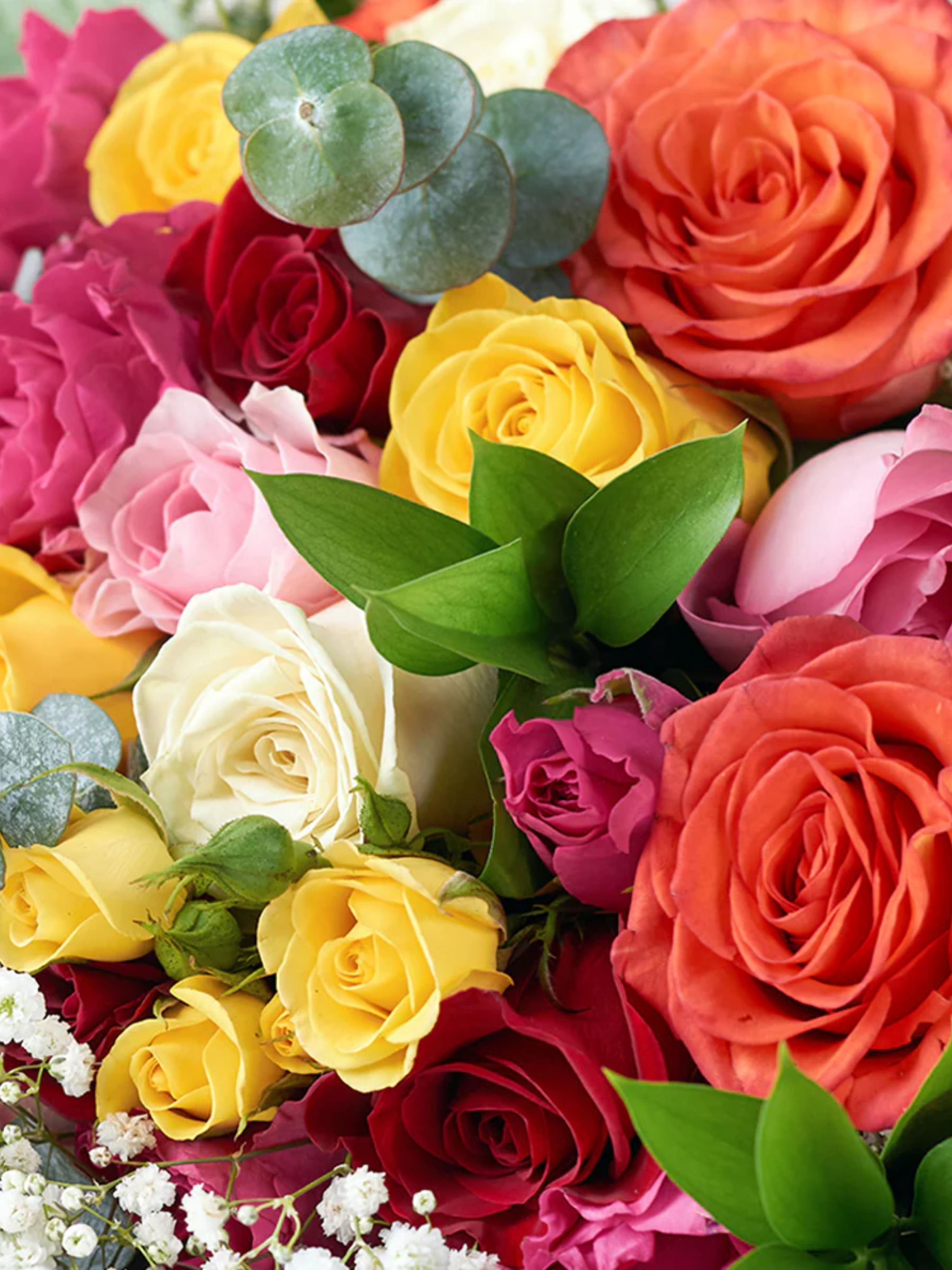 Poetic Petals Rose Bouquet