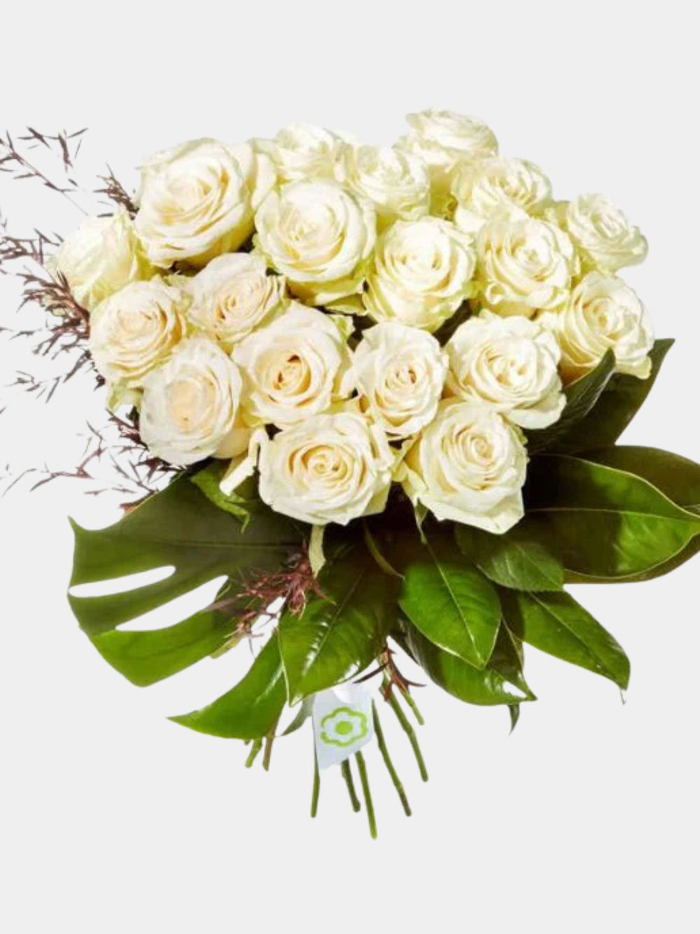 Pure White Rose Bouquet | FloraGulf.com