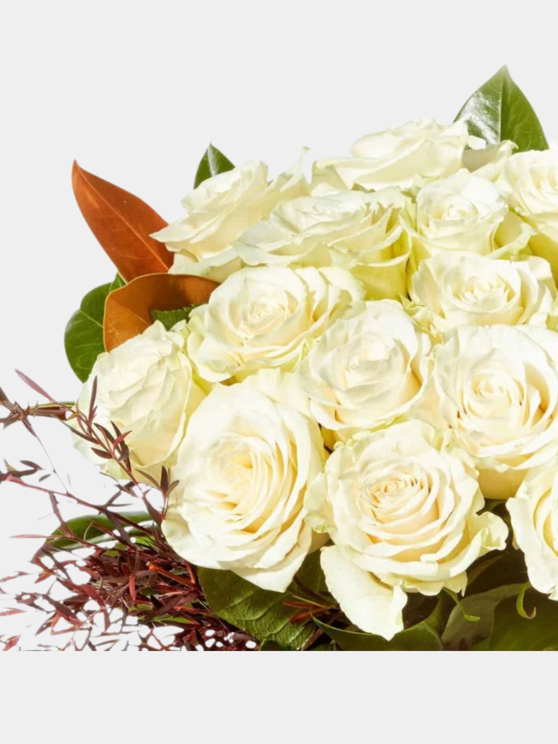 Pure White Rose Bouquet