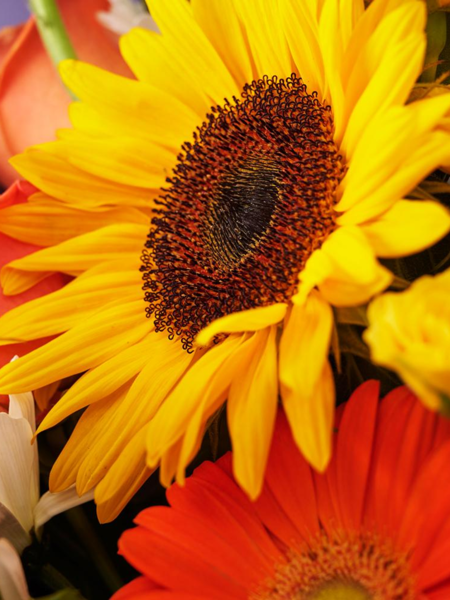 Ray of Hope Sunflower Bouquet