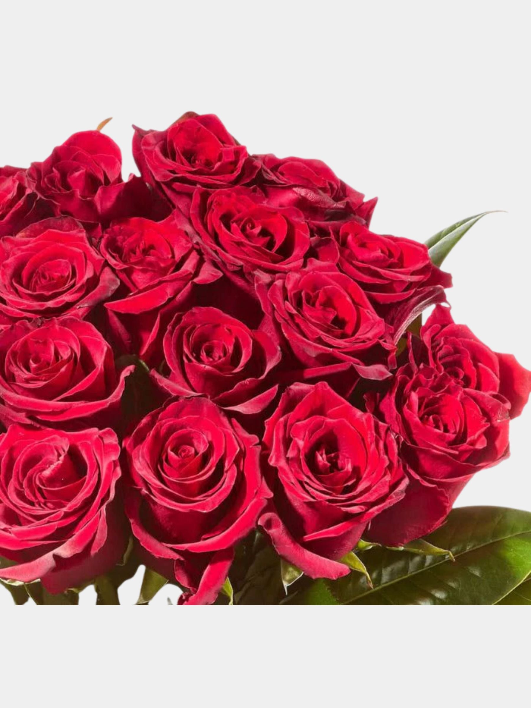 Red Whisper Rose Vase