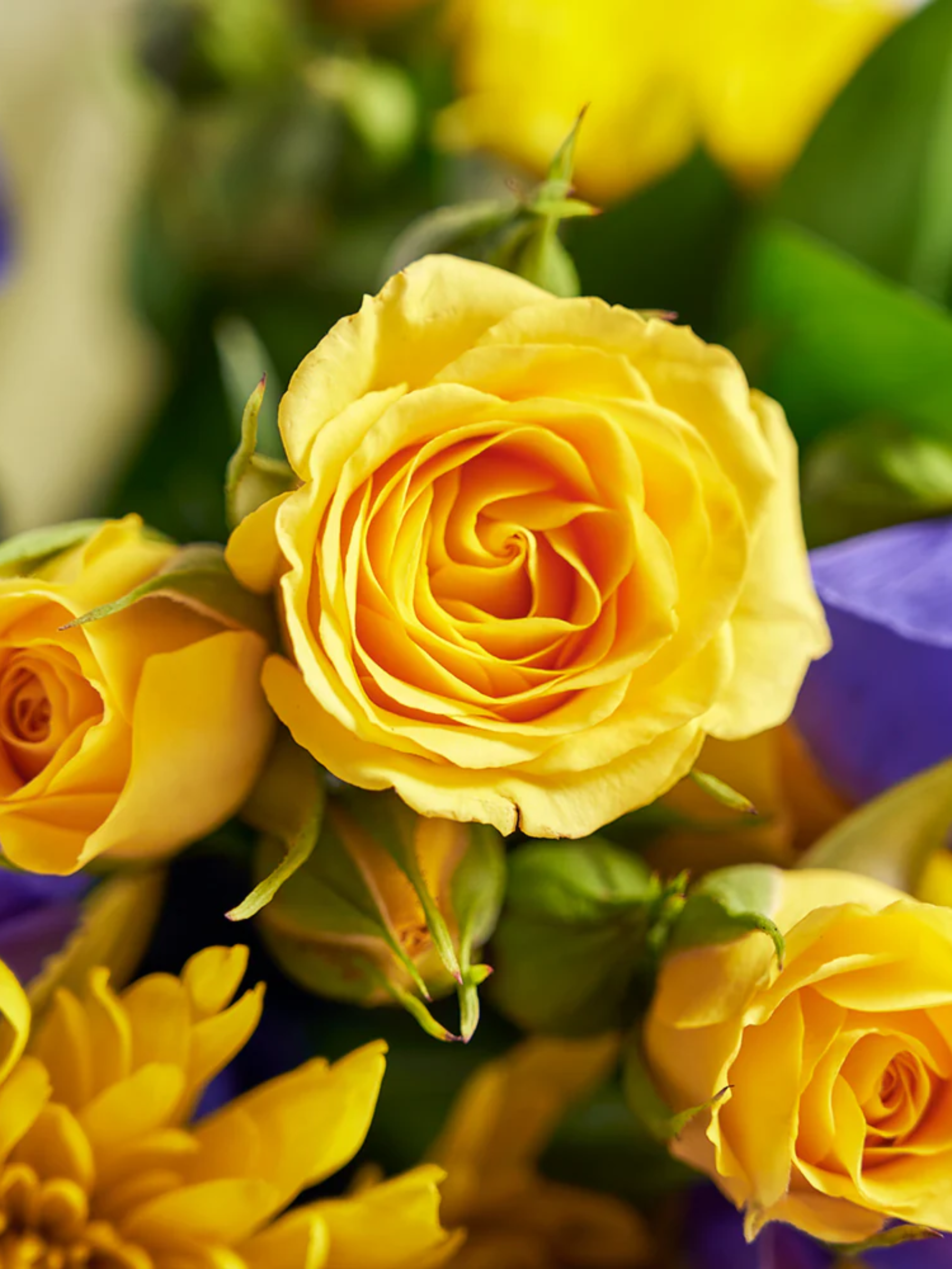 Regal Iris Reverie Bouquet