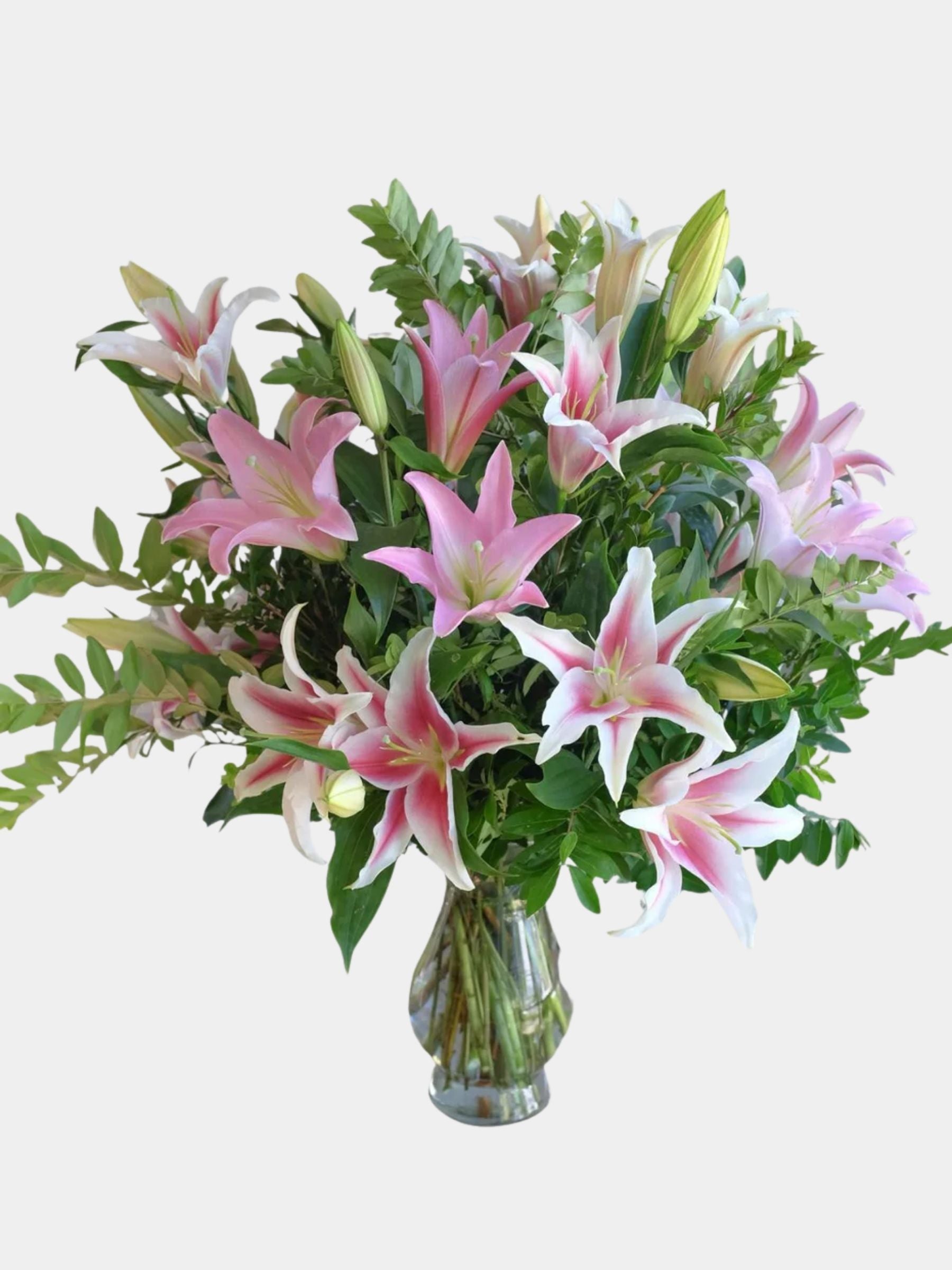 Stargazer Lilies