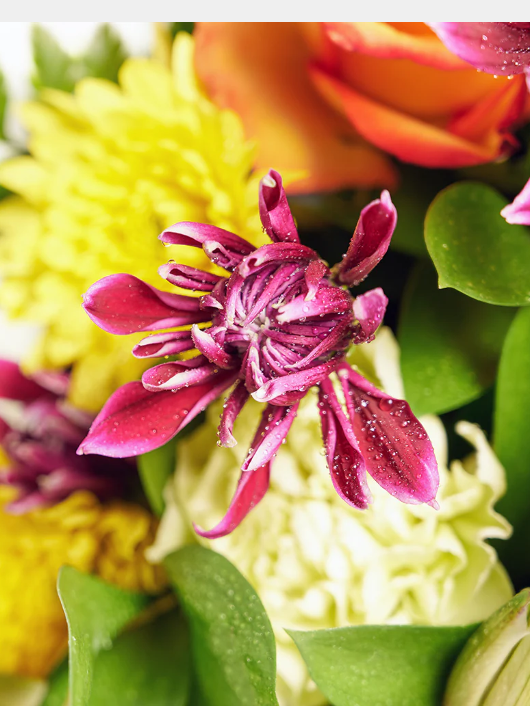 Tropical Shine Mixed Bouquet