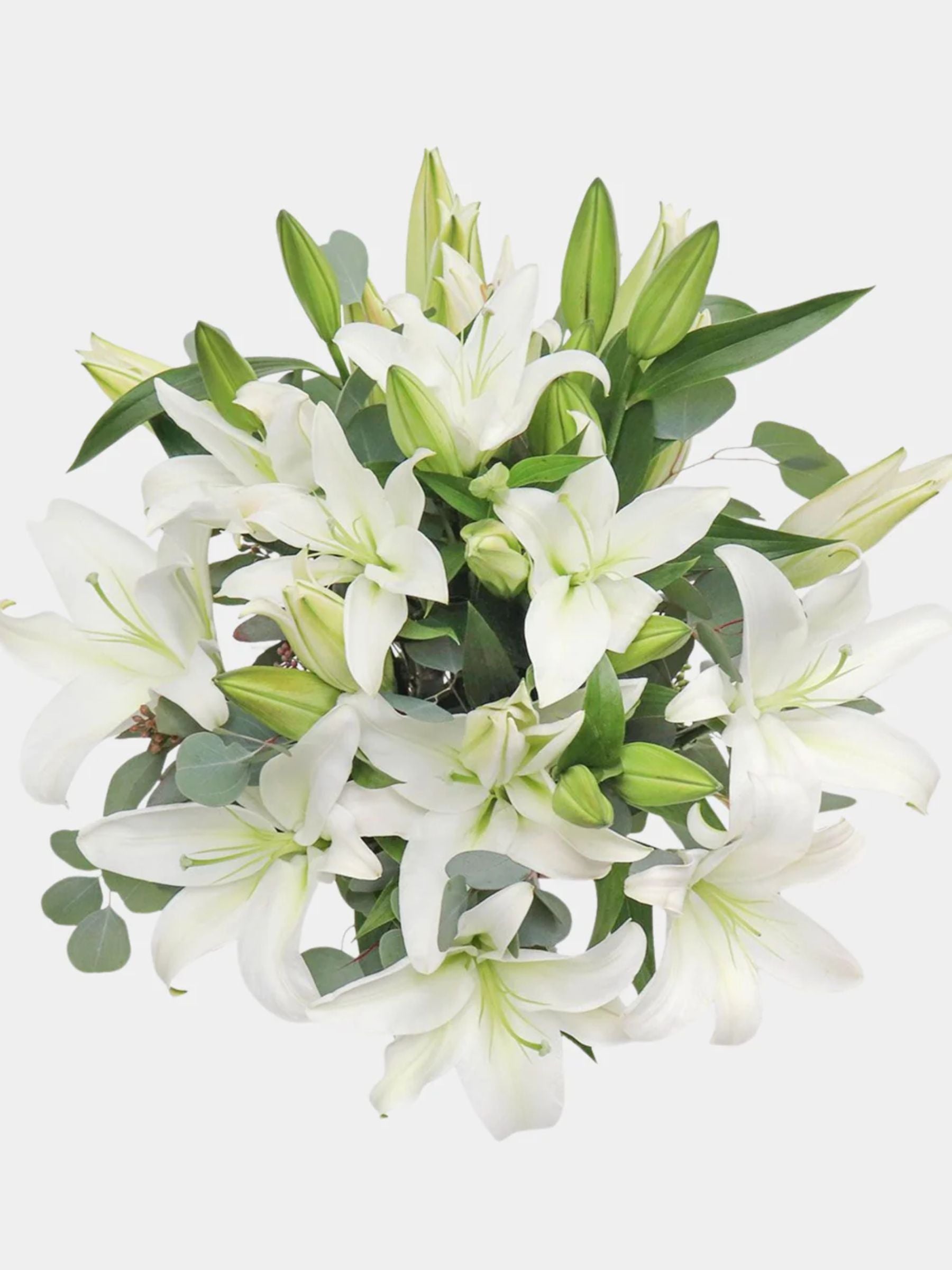 Pink Lilies in a Vase